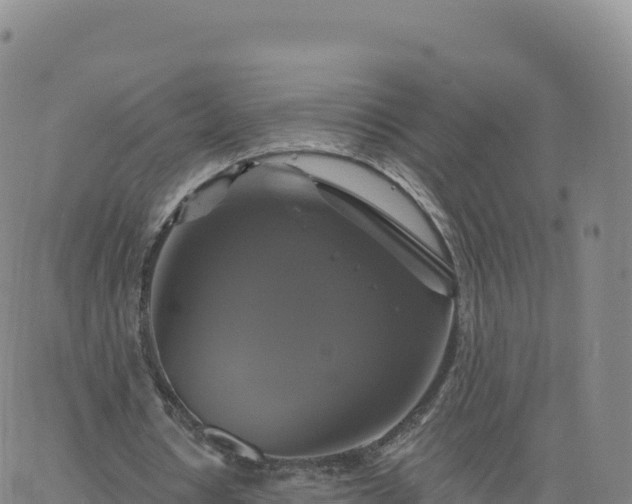 X0000061750434200512091640