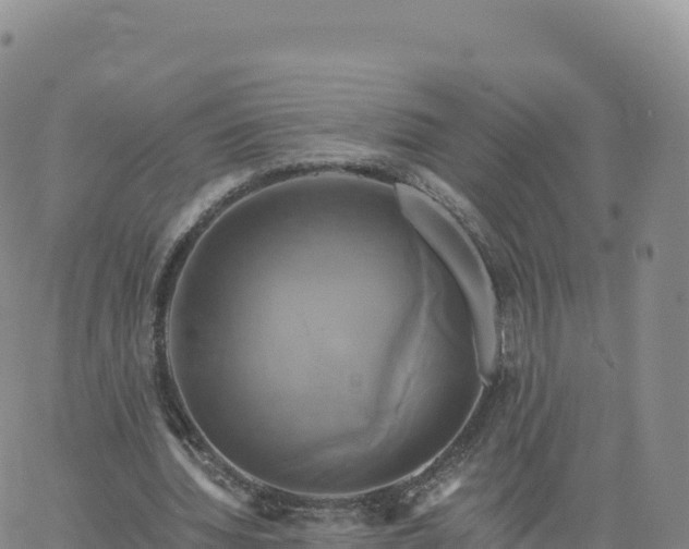 X0000061750436200512091640