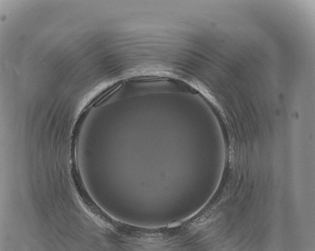 X0000061750438200512091640