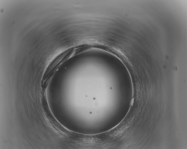 X0000061750439200512091640