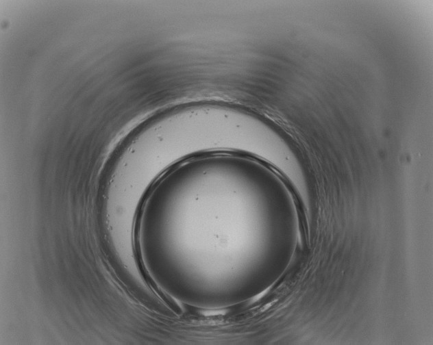 X0000061750440200512091640