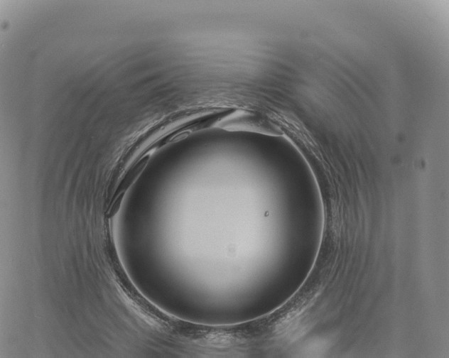 X0000061750441200512091640