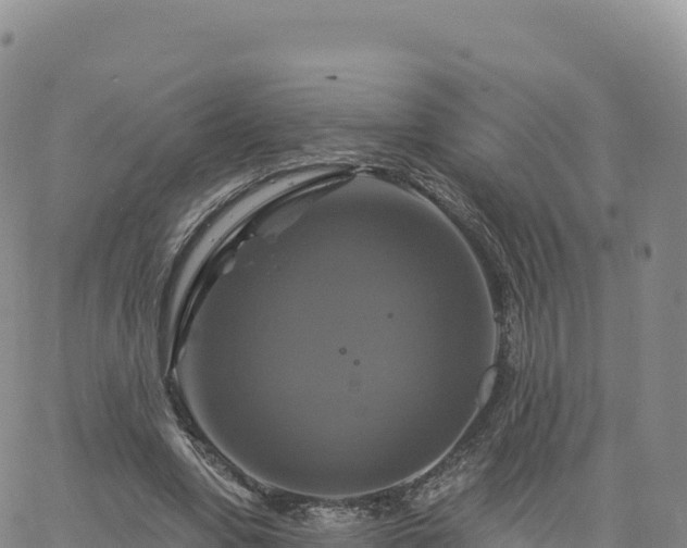 X0000061750442200512091640