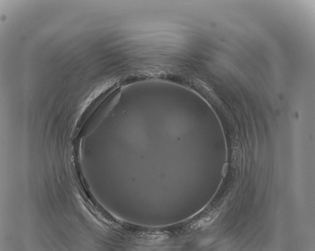 X0000061750443200512091640