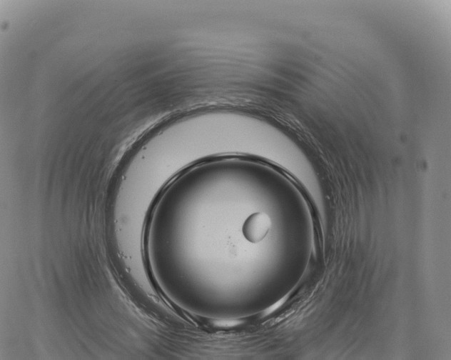 X0000061750444200512091640