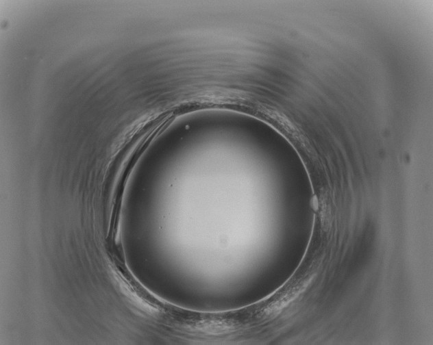 X0000061750445200512091640