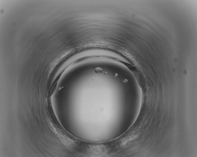 X0000061750446200512091640