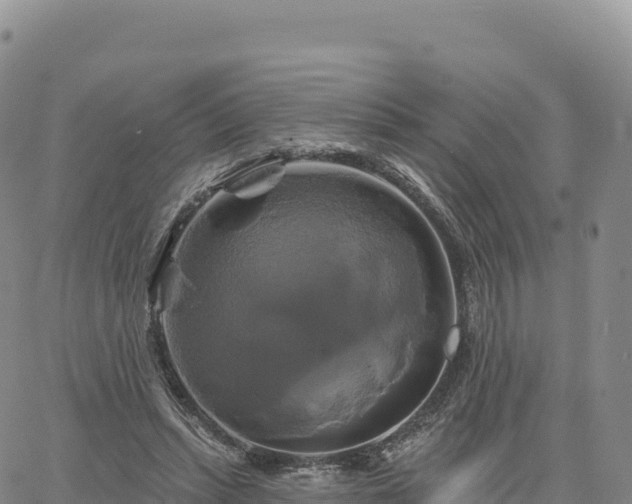 X0000061750447200512091640