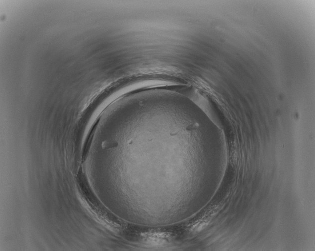 X0000061750448200512091640