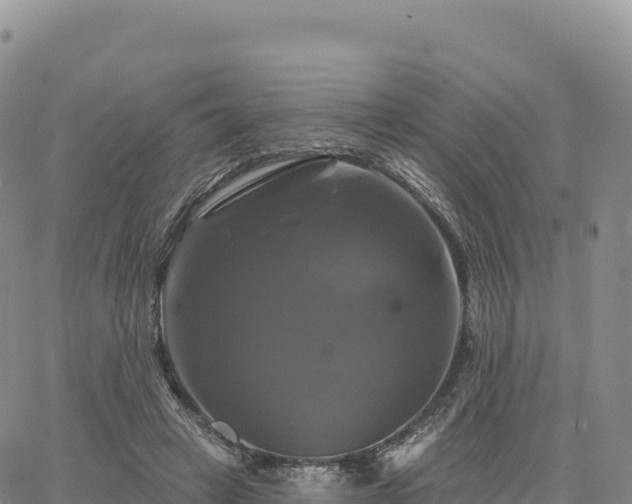 X0000061750449200512091640