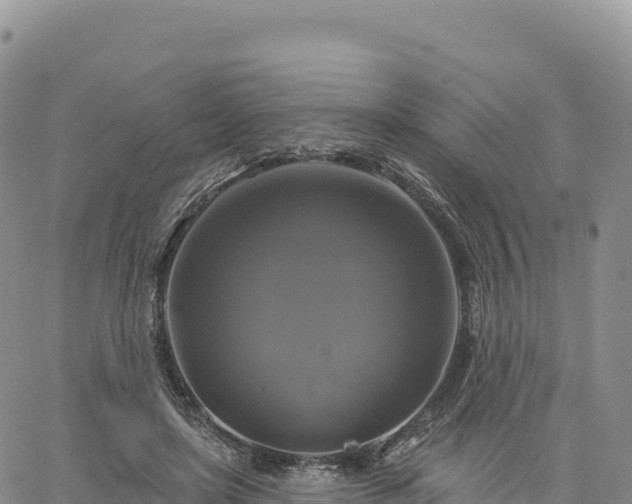 X0000061750451200512091640