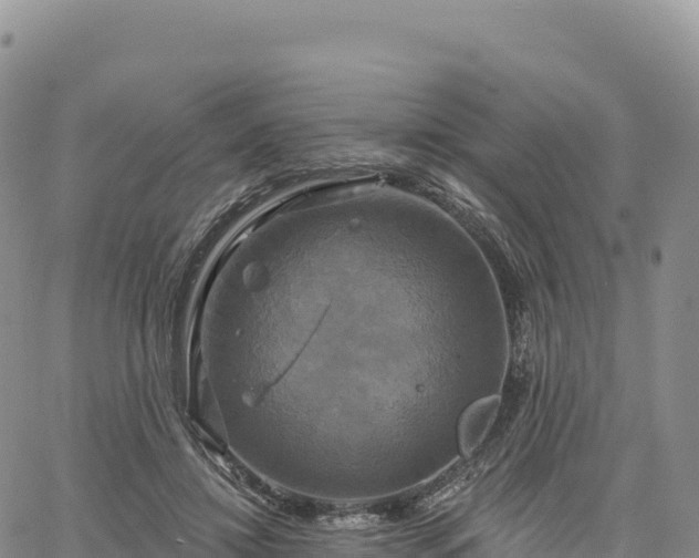 X0000061750452200512091640