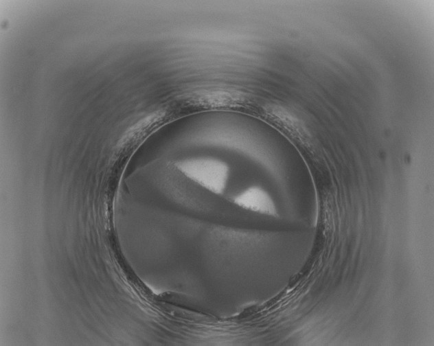 X0000061750453200512091640