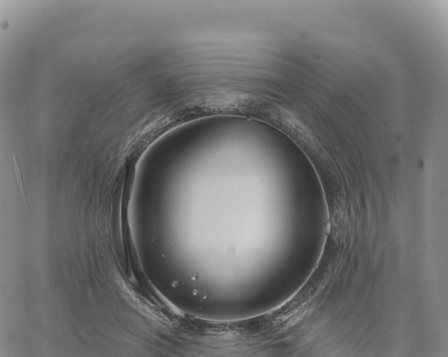 X0000061750454200512091640