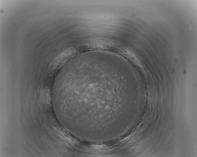 X0000061750457200512091640