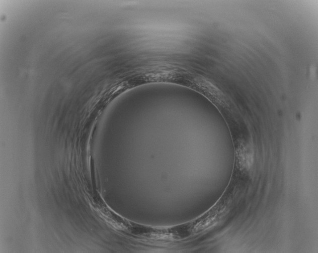 X0000061750458200512091640