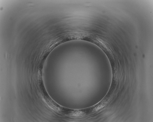 X0000061750459200512091640