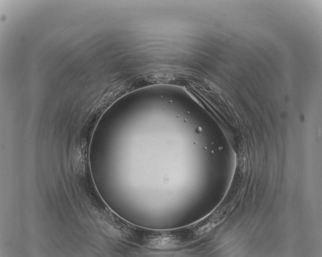 X0000061750460200512091640