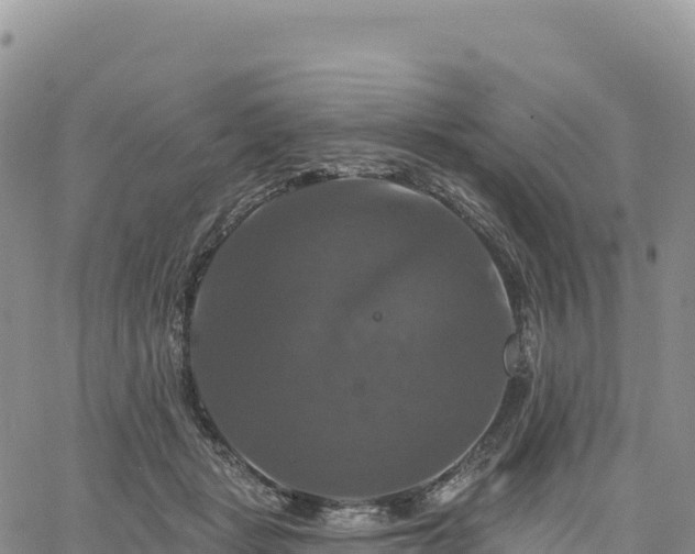 X0000061750461200512091640