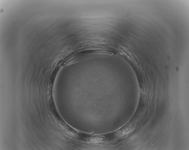 X0000061750462200512091640