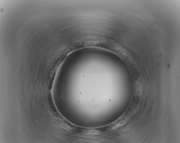 X0000061750463200512091640