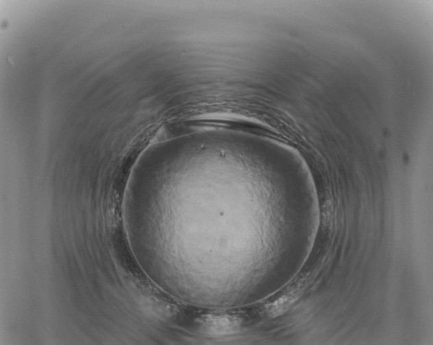 X0000061750464200512091640