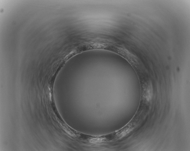 X0000061750465200512091640