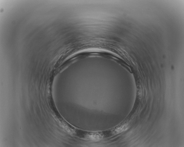 X0000061750466200512091640