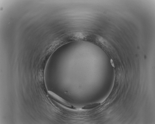 X0000061750467200512091640