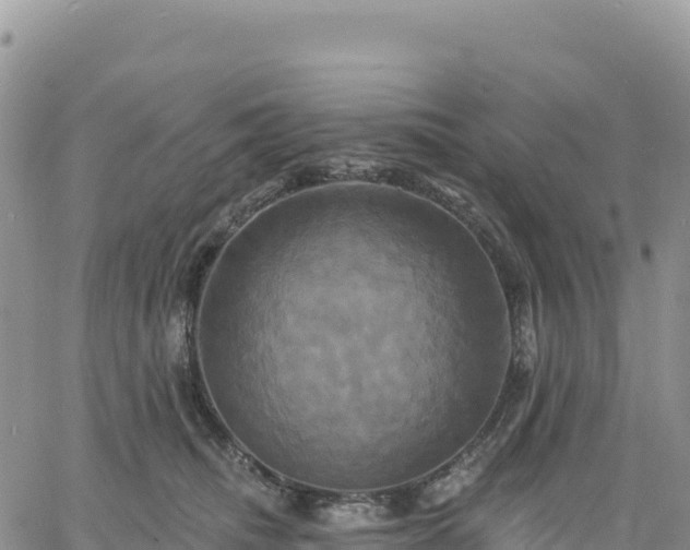 X0000061750468200512091640