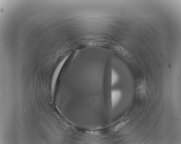 X0000061750469200512091640