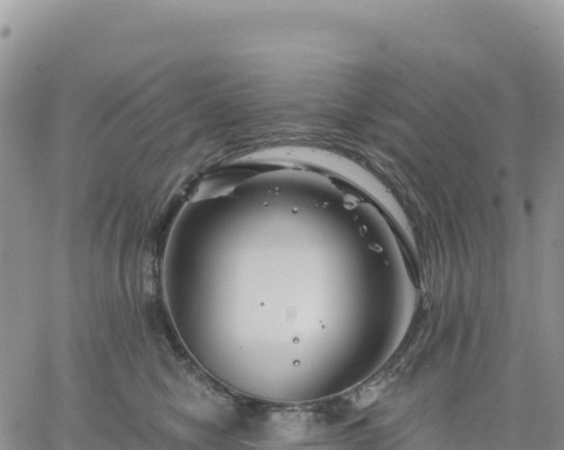 X0000061750470200512091640