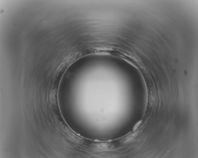 X0000061750473200512091640