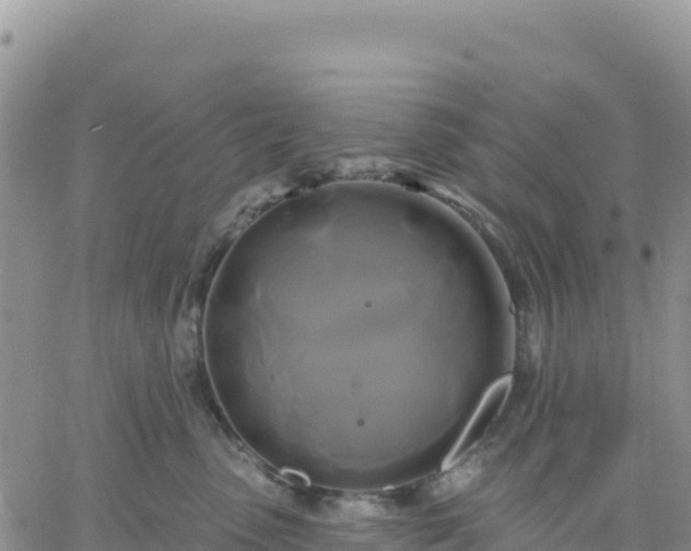 X0000061750475200512091640