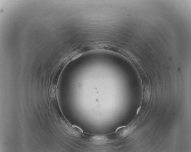 X0000061750477200512091640