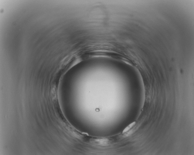 X0000061750478200512091640