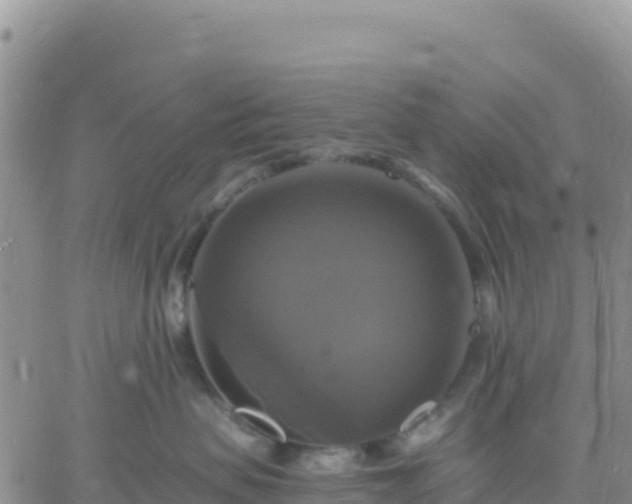 X0000061750479200512091640