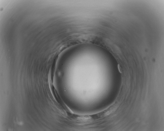 X0000061750480200512091640