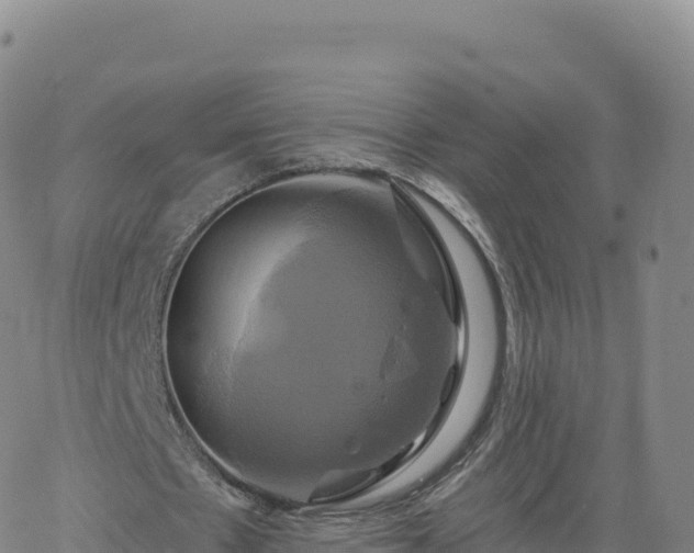 X0000061750481200512091640