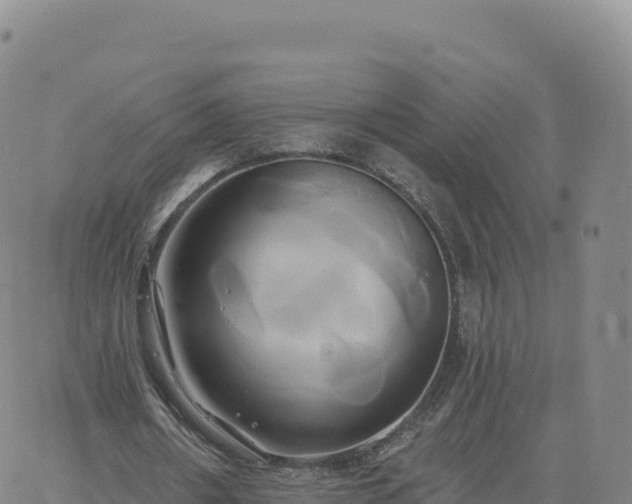 X0000061750482200512091639