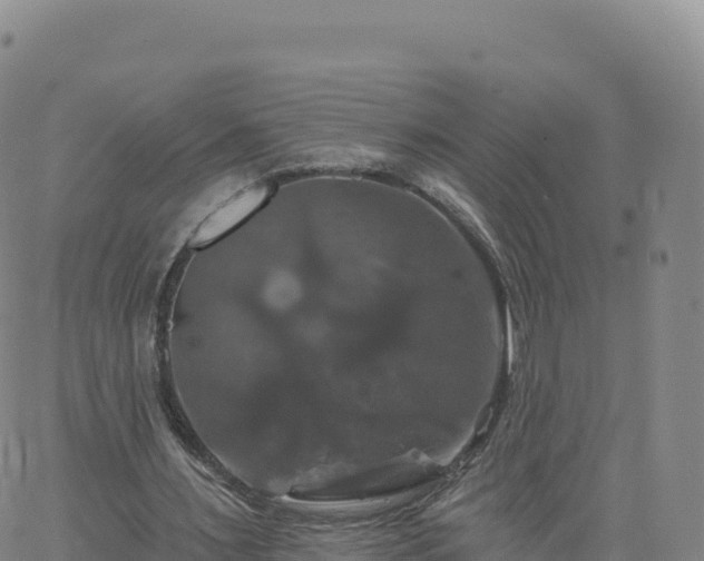 X0000061750483200512091639