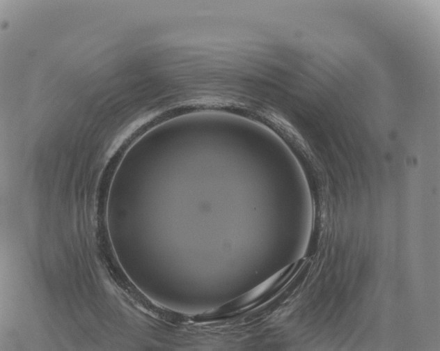 X0000061750484200512091639