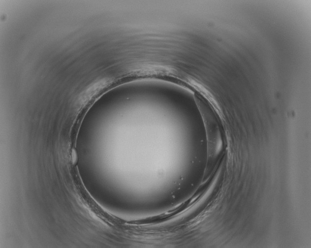 X0000061750485200512091639