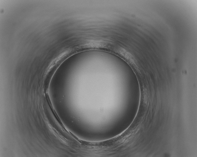 X0000061750486200512091639