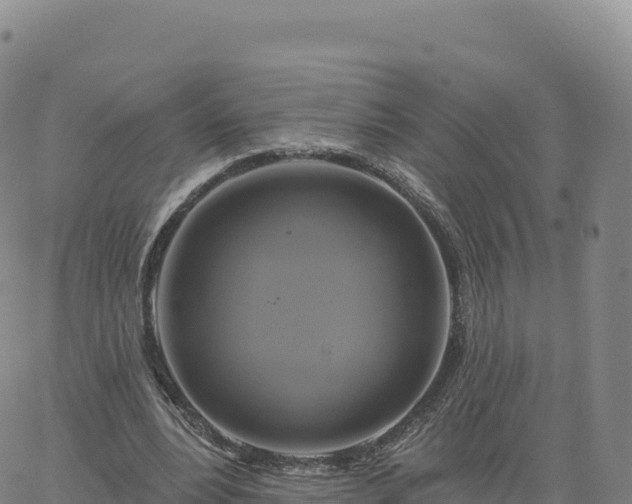 X0000061750488200512091639