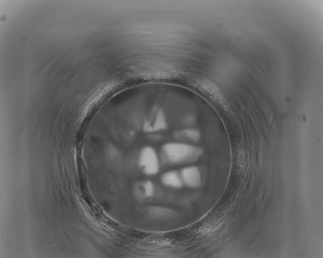 X0000061750491200512091639