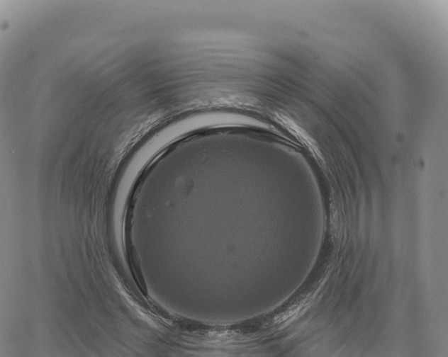 X0000061750493200512091639