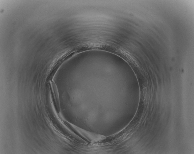 X0000061750494200512091639