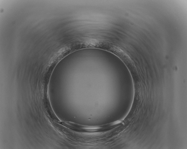 X0000061750496200512091639