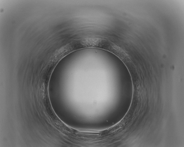 X0000061750498200512091639